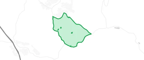 Gassi-Ort Rothenbucher Forst in Rothenbucher Forst
