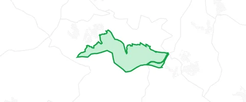 Gassi-Ort Sailaufer Forst in Schöllkrippener Forst