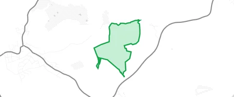 Gassi-Ort Sallengrund Wald in Wiesloch