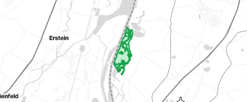 Gassi-Ort Schollen in Ottenheim