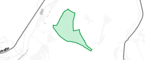 Gassi-Ort Schorrenwald in Odenbach