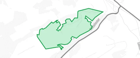 Gassi-Ort Schwarz Wald in Katzweiler