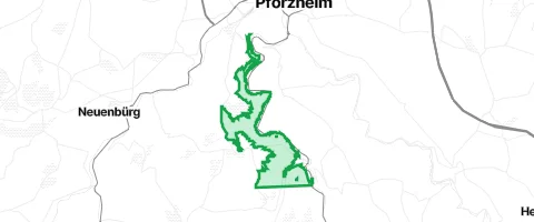 Gassi-Ort Schwarzwald in Pforzheim