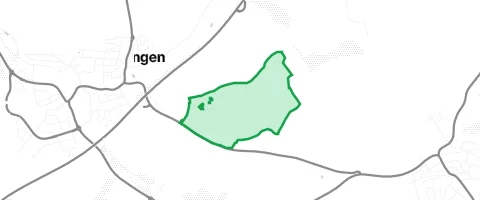 Gassi-Ort Sickinger Wald in Oberderdingen