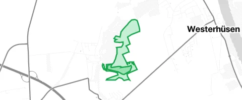 Gassi-Ort Sohlener Berge in Magdeburg