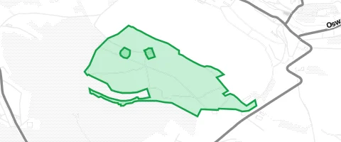 Gassi-Ort Spiegelwald in Grünhain
