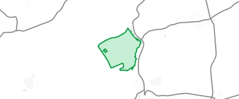 Gassi-Ort Staatsforst Rheinhessen in Nieder-Wiesen
