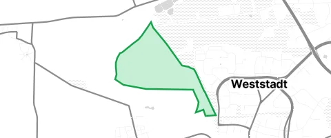 Gassi-Ort Staatsforst Timmerlaher Busch in Braunschweig