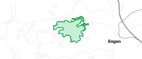 Gassi-Ort Stadtholz in Engen