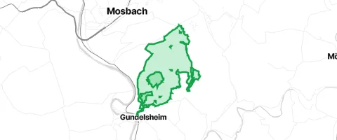 Gassi-Ort Stadtwald in Gundelsheim