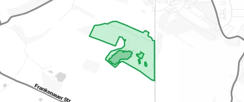 Gassi-Ort Stadtwald in Altmittweida