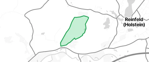 Gassi-Ort Steinkampsholz in Reinfeld
