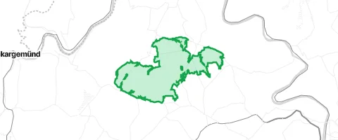 Gassi-Ort Stüber Zentwald in Reichartshausen
