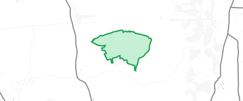 Gassi-Ort Tadinger Holz in Mitterbuch