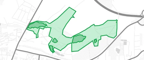 Gassi-Ort Tännigt in Limbach-Oberfrohna