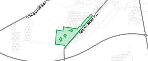 Gassi-Ort Tannenwäldchen in Schönebeck (Elbe)