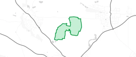Gassi-Ort Totenholz in Tuchenbach