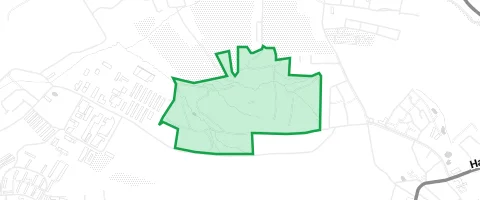 Gassi-Ort Vielauer Wald in Mohlsdorf-Teichwolframsdorf
