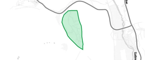 Gassi-Ort Wald für die Seele in Bad Kissingen