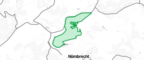 Gassi-Ort Wald um Schloss Homburg in Seifen