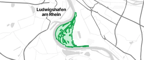 Gassi-Ort Waldpark in Mannheim