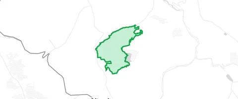 Gassi-Ort Weicholdswald in Altenberg