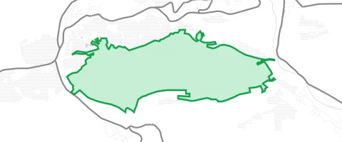 Gassi-Ort Windesheimer Wald in Schweppenhausen
